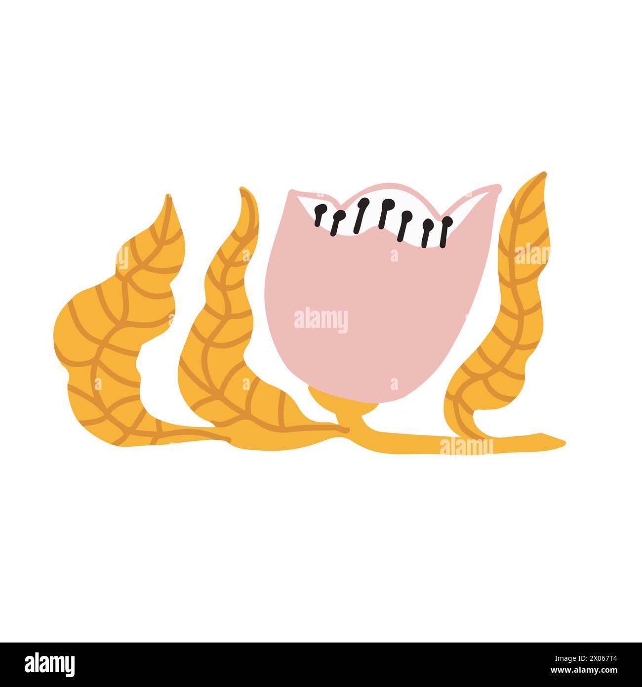 Colorate illustrazioni floreali a doodle in uno stile alla moda Illustrazione Vettoriale