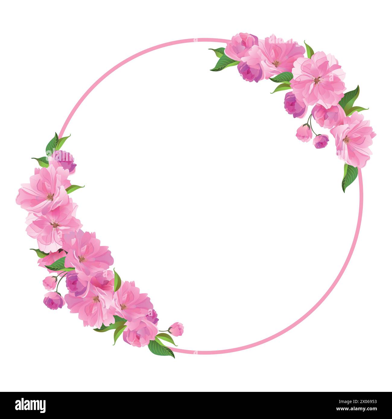 Corona vettoriale di sakura. Telaio rotondo con rami di ciliegio in fiore. Soffici fiori di Sato-zakura rosa su sfondo bianco. Composizione per un matrimonio Illustrazione Vettoriale