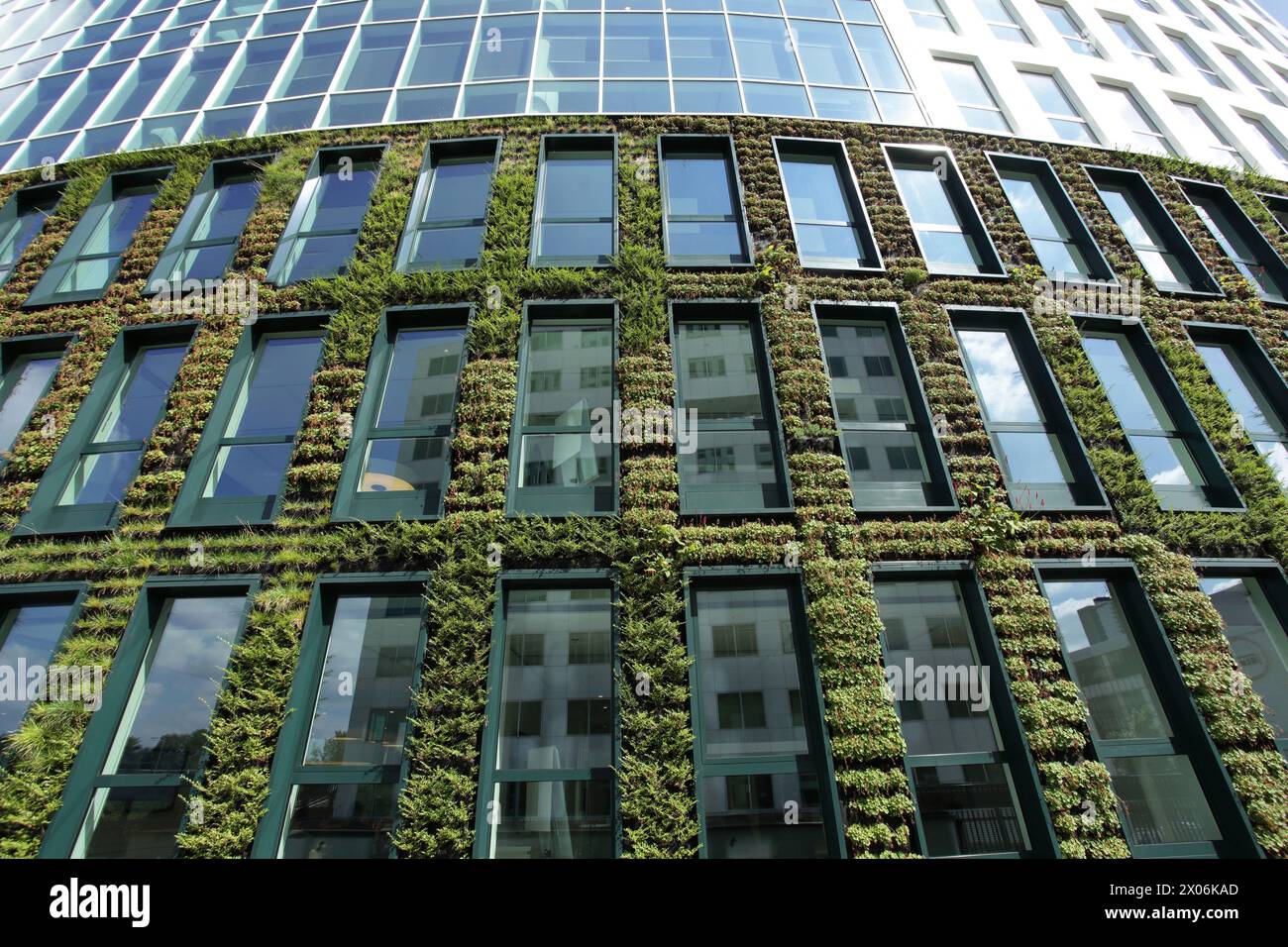 Facciate piantate su un moderno edificio per uffici, Paesi Bassi, Rotterdam Foto Stock