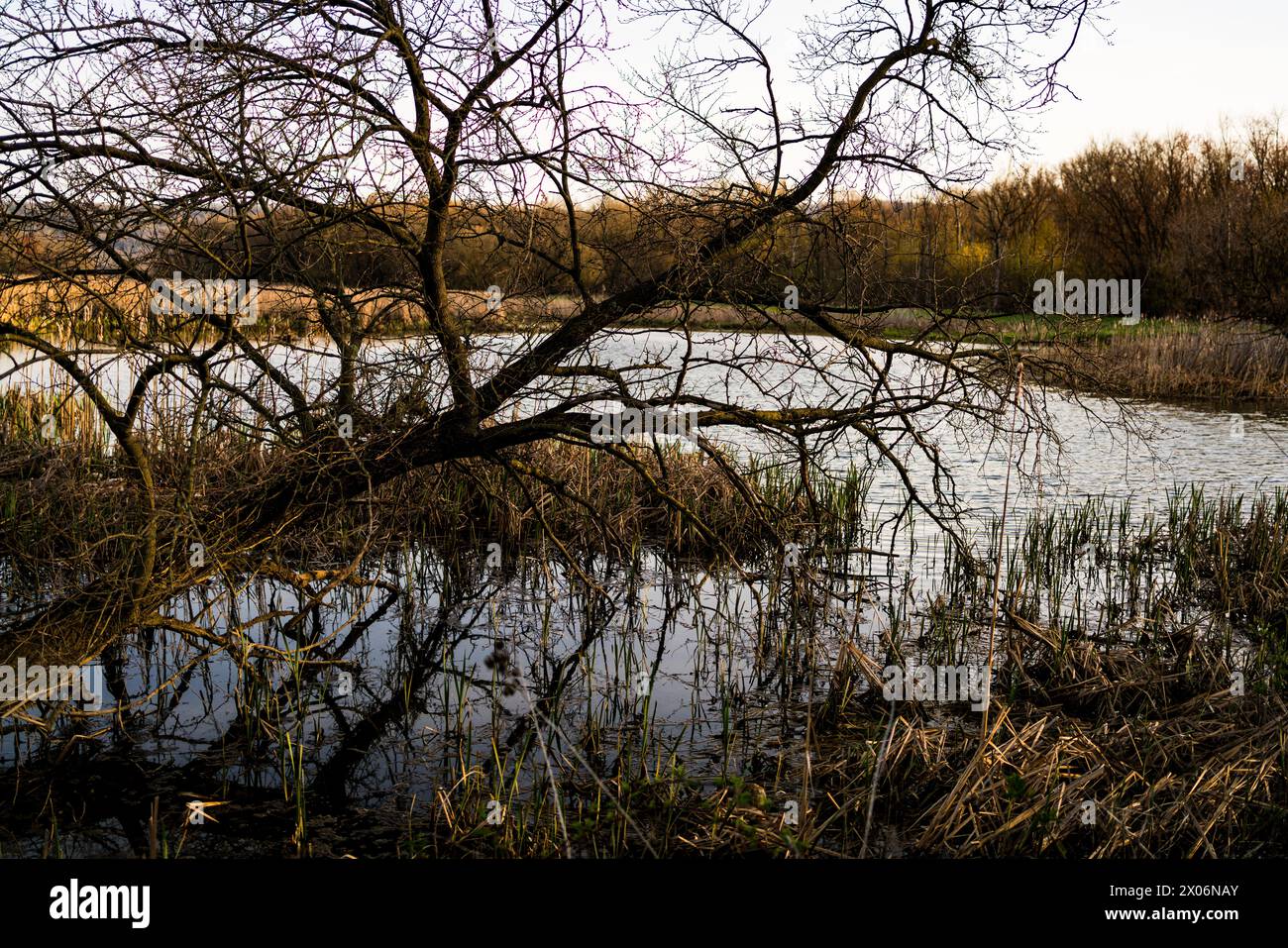 Wildwood Park ad Harrisburg, Pennsylvania Foto Stock