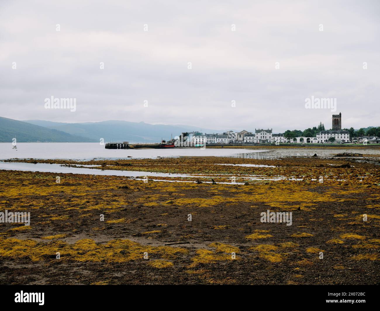 Il paesaggio delle alghe della bassa marea e la città di Inverary ad Argyll e Bute, in Scozia. Si trova sulla riva occidentale di Loch Fyne, Argyll, Scozia, Regno Unito Foto Stock