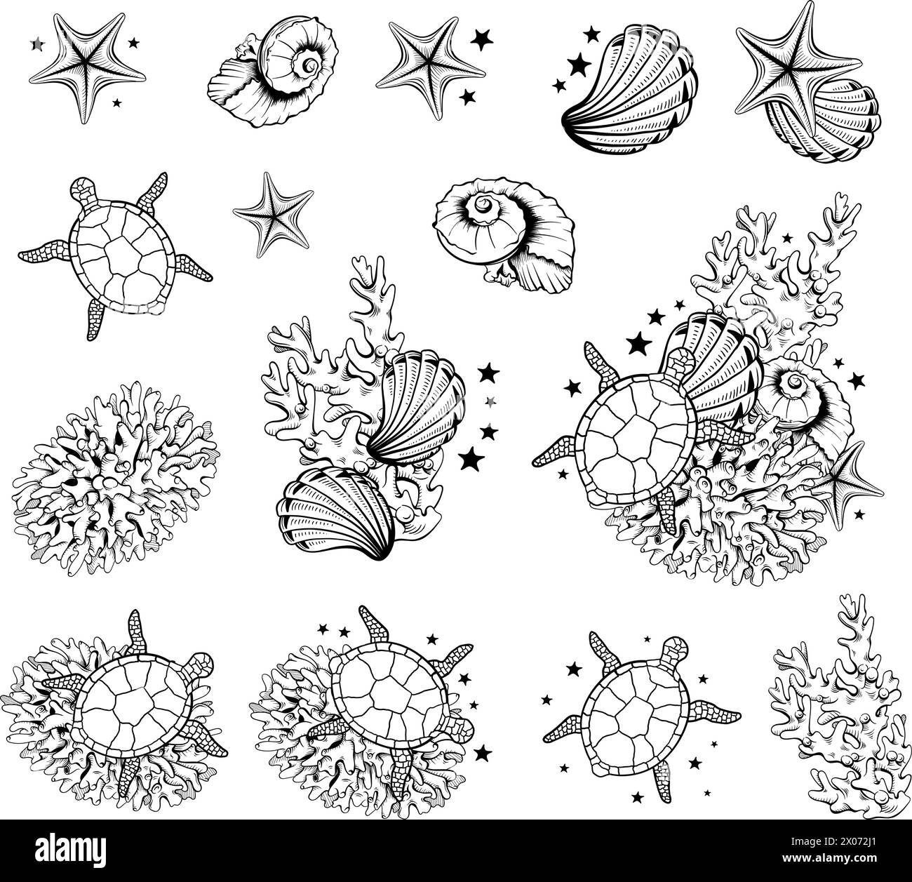 Disegno di contorni in bianco e nero Seashells tartarughe Sea Stars illustrazioni marine estive Vector Line Art Illustrazione Vettoriale