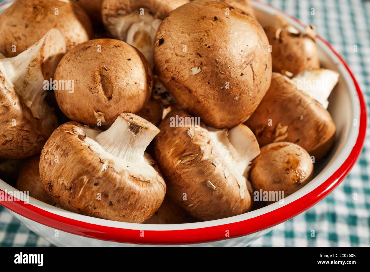 Una ciotola di funghi bella crudi, Agaricus bisporus, detti anche crimini, italiani, portabello, o portabella. Foto Stock