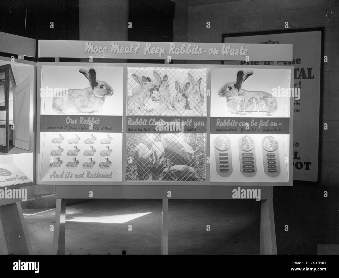 Pannello espositivo della mostra "fuori dalla razione" del 1942, che mostra le istruzioni sulla conservazione dei conigli per il cibo. Il panel faceva parte del sistema di visualizzazione delle finestre presso la sede centrale del Ministero dell'informazione a Londra. Foto Stock