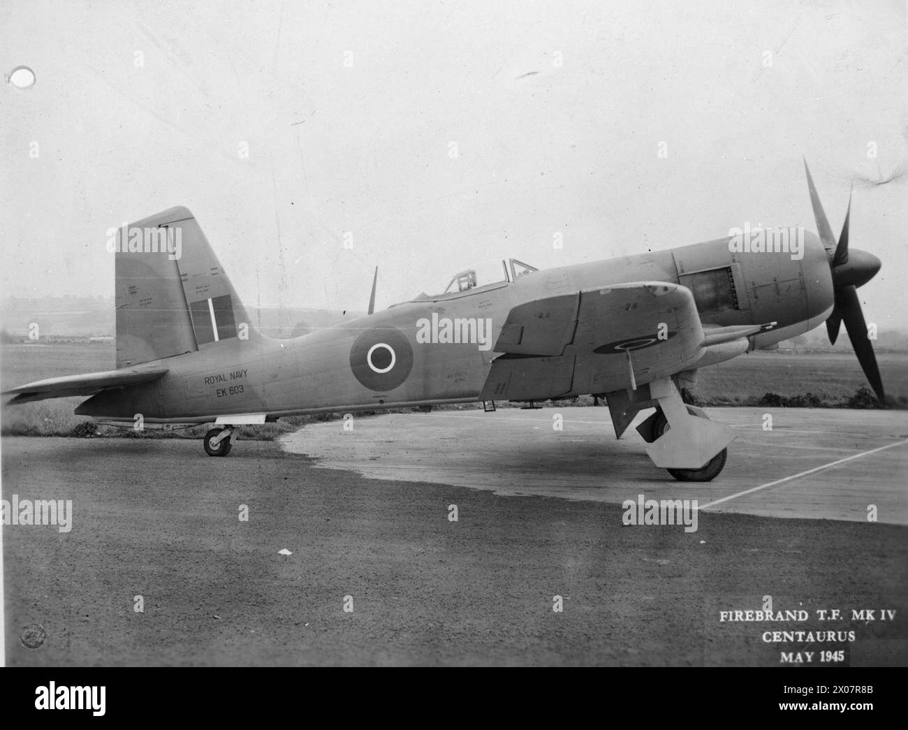 Blackburn Firebrand Mark 4 aerosiluranti della Fleet Air Arm a terra durante la seconda guerra mondiale, utilizzato dalla Royal Navy per operazioni marittime e missioni d'attacco. Foto Stock
