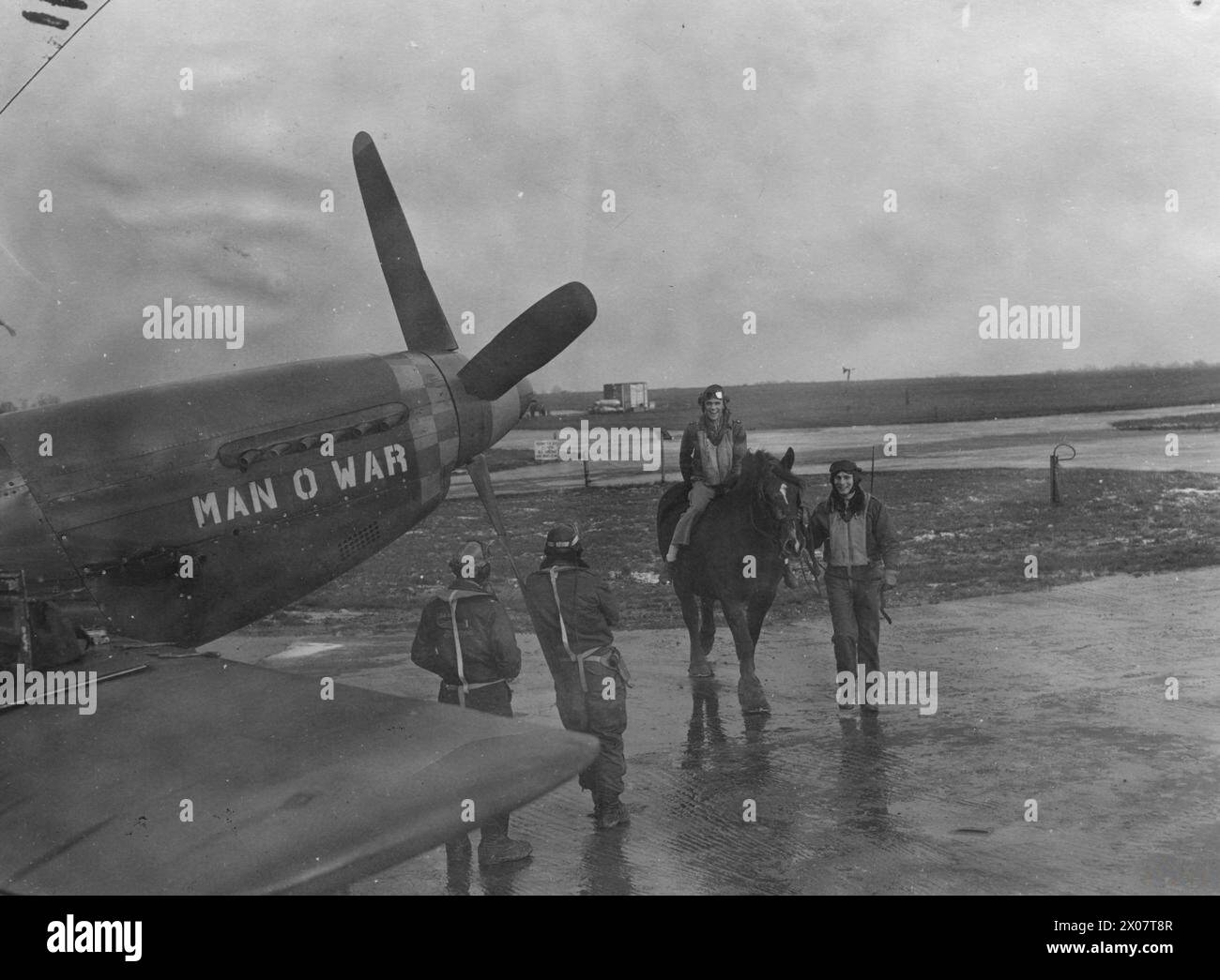 STATI UNITI OTTAVA FORZA AEREA IN GRAN BRETAGNA, 1942-1945 - il maggiore Richard Peterson del 357th Fighter Group cavalca un cavallo di aratro verso il suo P-51 Mustang soprannominato 'Man-o-War' a Leiston.immagine stampata sul retro con SHAEF Field press censor 9 Jan 1945Caption stampata sul retro: 'Mustang Group with a record.rather slow. Ma un mezzo di trasporto, il maggiore Richard A Peterson, di Alessandria, min., accreditato con 19 1/2 aerei, cavalca su un cavallo aratro verso un nome di aereo (sic) dopo il famoso cavallo da corsa "Man-o-War". A guidare il cavallo è il primo tenente Robert Wink, di Sumner, Iowa, che ha abbattuto 2 aircra Foto Stock