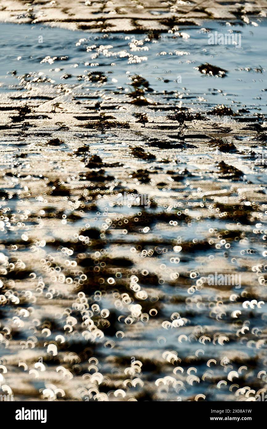 Überflutete Felder EUR, Deutschland, Dessau: DAS Hochwasser der Elbe und der Mulde sorgt für Überschwemmungen der Auenwiesen und Auenwälder in der Region Dessau-Roßlau. BEI sinkenden Pegelständen sind wieder Spaziergänger unterwegs. *** Campi allagati EUR, Germania, Dessau le inondazioni dei fiumi Elba e Mulde stanno causando inondazioni dei prati alluvionali e delle foreste nella regione di Dessau Roßlau mentre i livelli delle acque calano, gli escursionisti sono fuori e di nuovo in giro Foto Stock