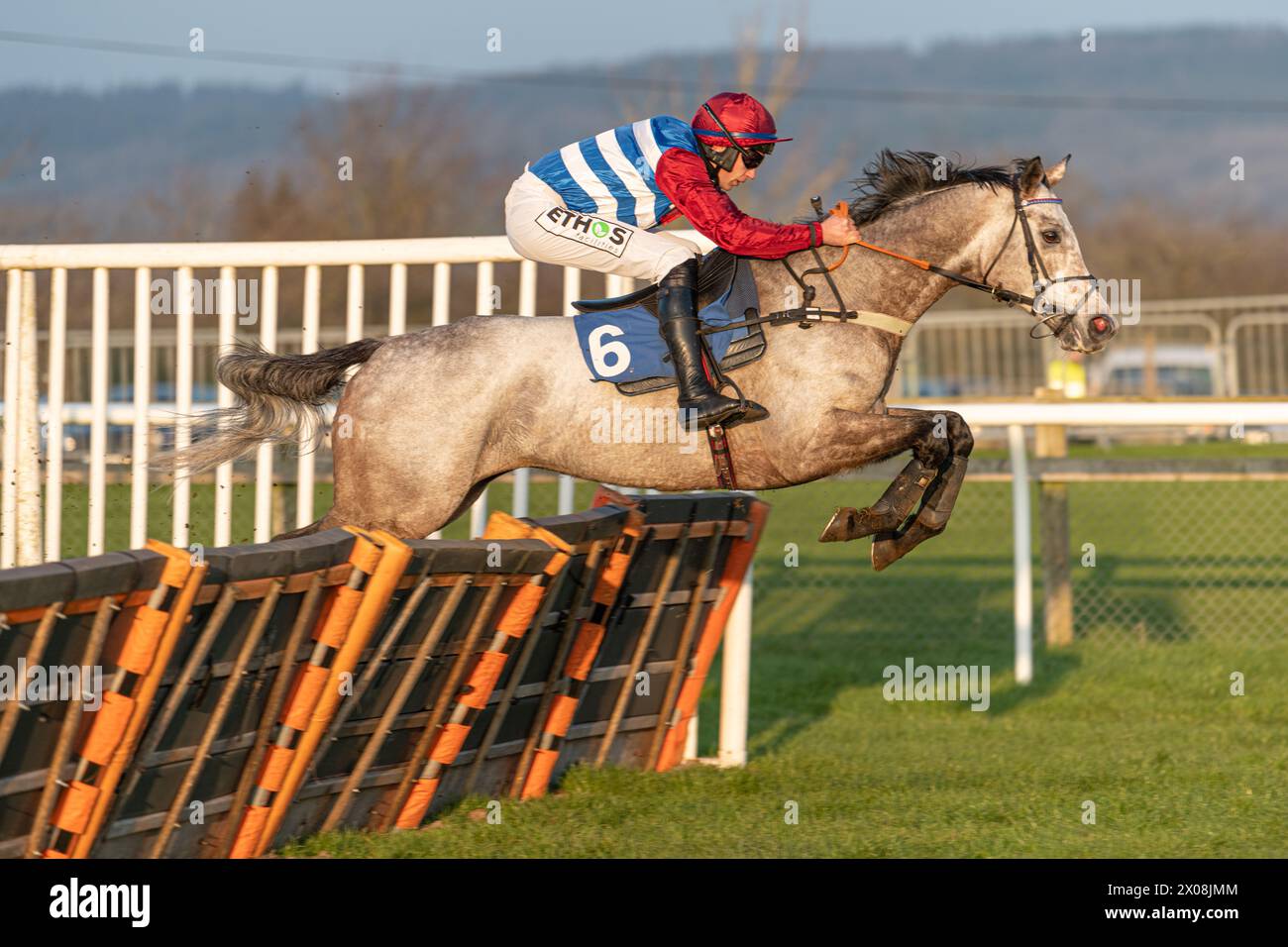 Quinta gara a Wincanton, 26 gennaio 2022, handicap hurdle Foto Stock