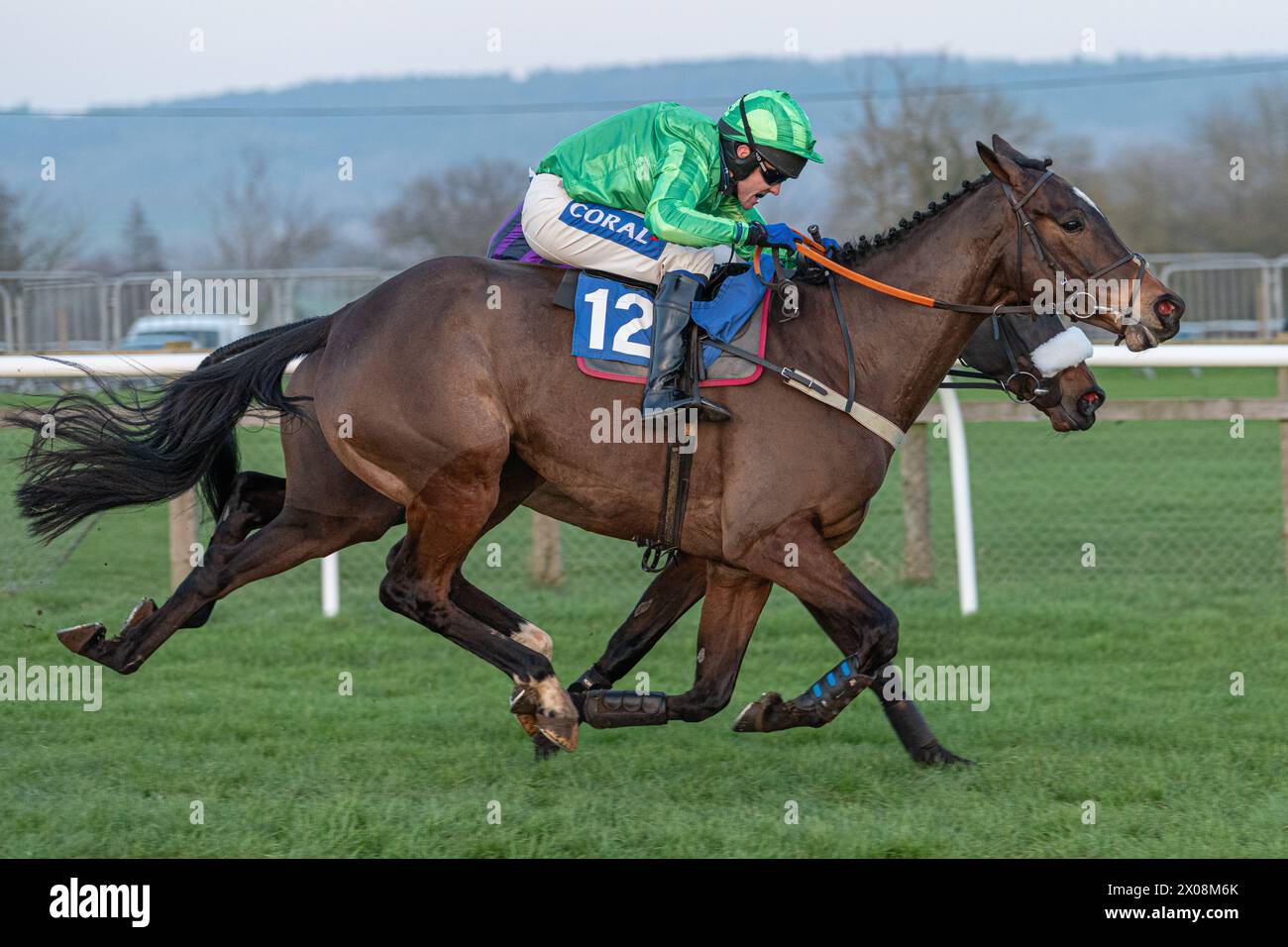 Sesta gara a Wincanton, 26 gennaio 2022, Novice hurdle Foto Stock