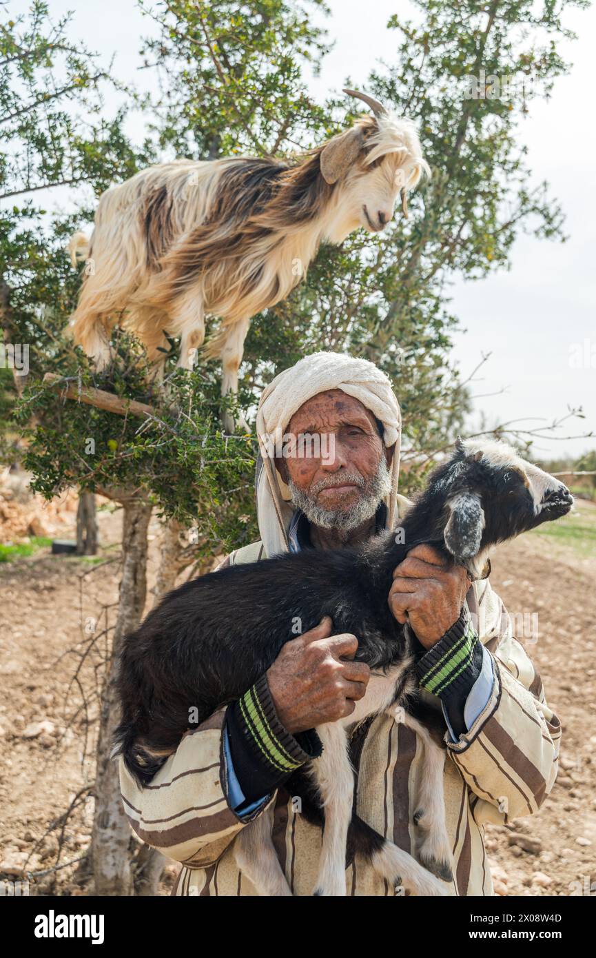 Un uomo marocchino in abito tradizionale tiene una giovane capra con un'altra capra arroccata su un albero sopra di lui Foto Stock
