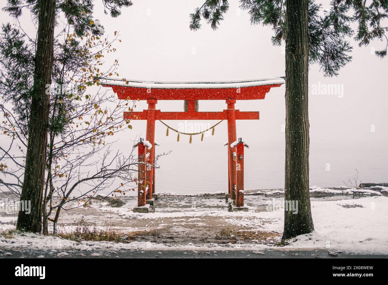 Una serena scena di una porta torii rossa ricoperta di neve tra pini, che simboleggia il patrimonio culturale del Giappone durante l'inverno Foto Stock