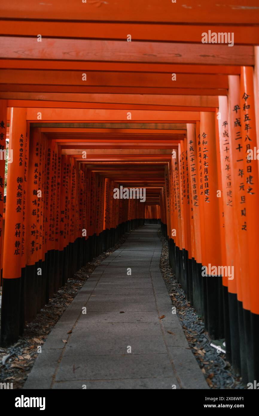 Un tranquillo sentiero fiancheggiato da tradizionali cancelli torii arancioni, ognuno con caratteri giapponesi, iconici santuari shintoisti in Giappone Foto Stock