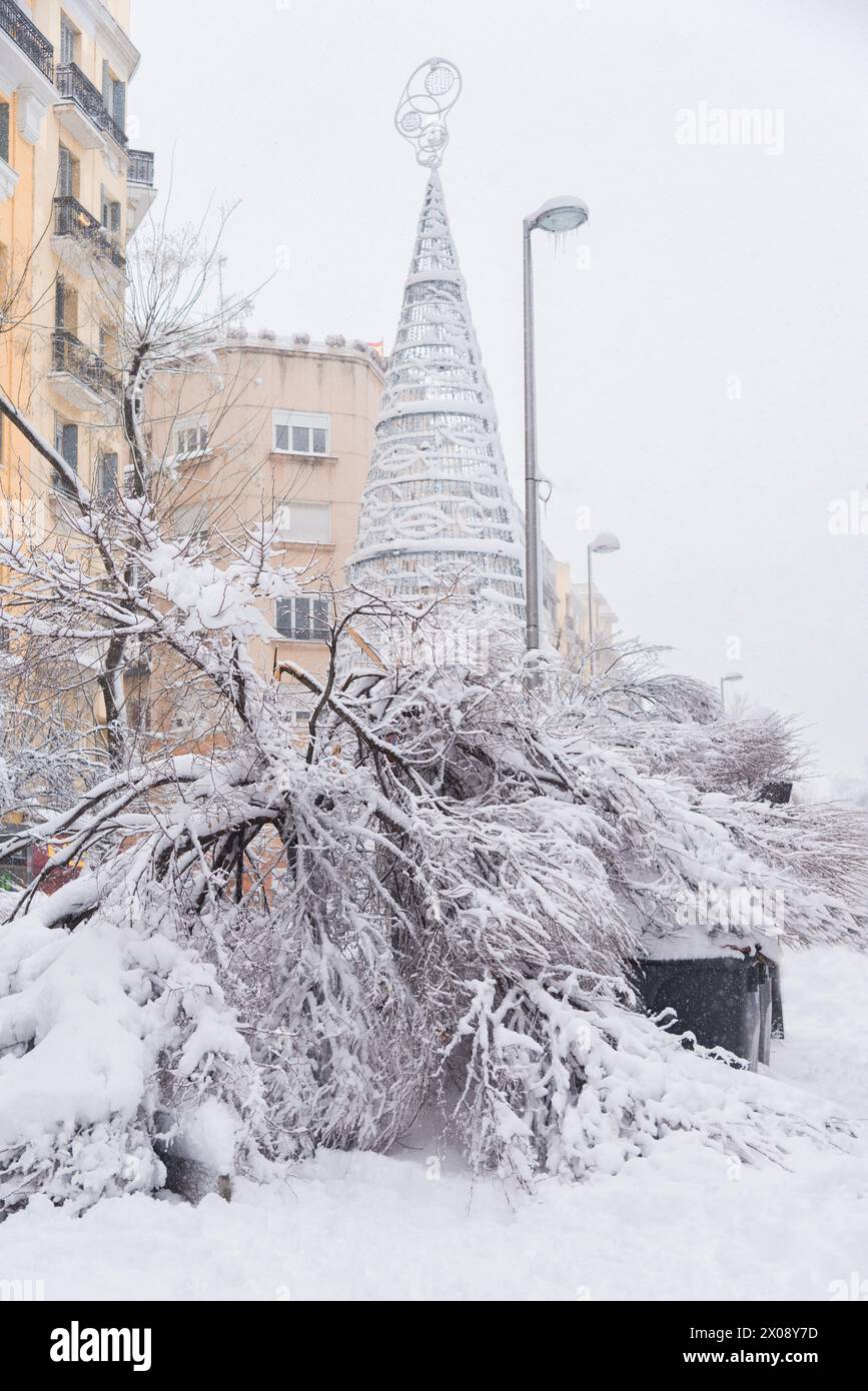 Una tranquilla scena invernale a Madrid, con neve fitta che copre alberi ed elementi urbani, creando un paesaggio pittoresco ma fresco. Foto Stock