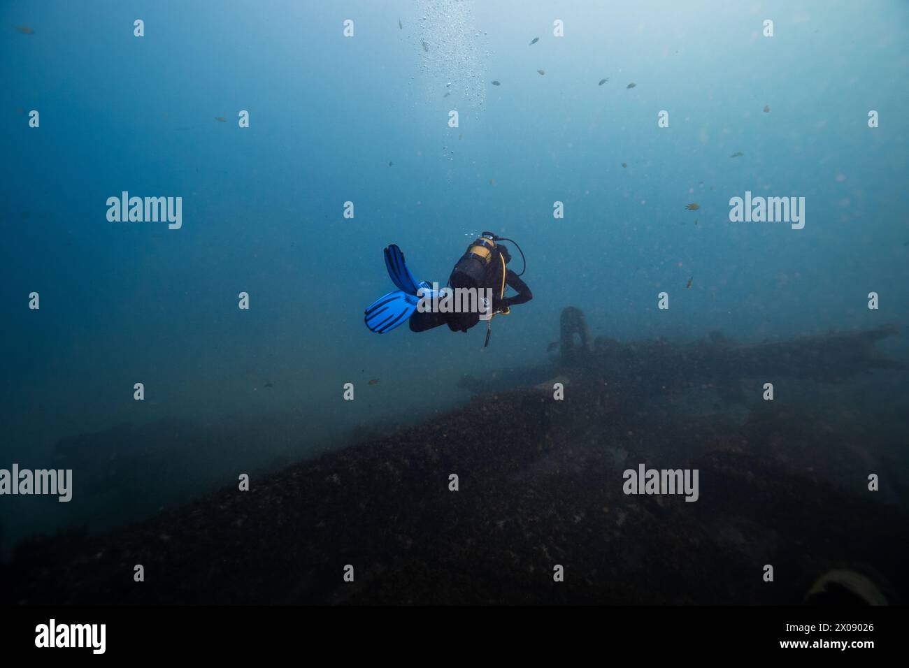 Un solo subacqueo con pinne blu nuota accanto a un relitto affondato nelle profondità torbide dell'oceano Foto Stock