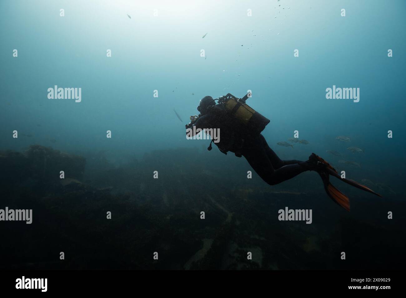 Un subacqueo solitario nuota tra i pesci su un mare subacqueo torbido, immerso nelle profondità blu dell'oceano Foto Stock