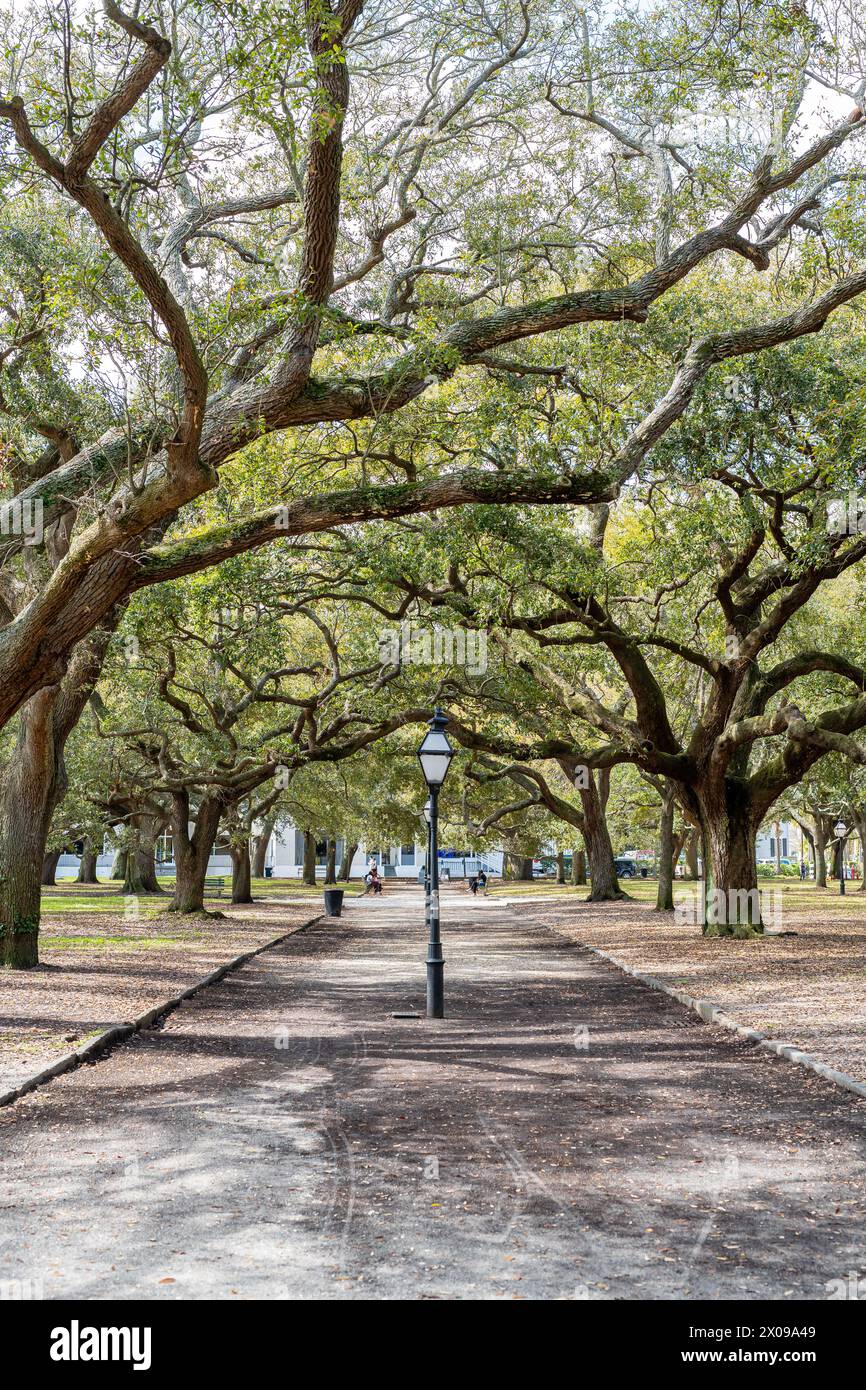 White Point Garden presso il Battery di Charleston, South Carolina, con alberi di quercia dal vivo del sud. Foto Stock