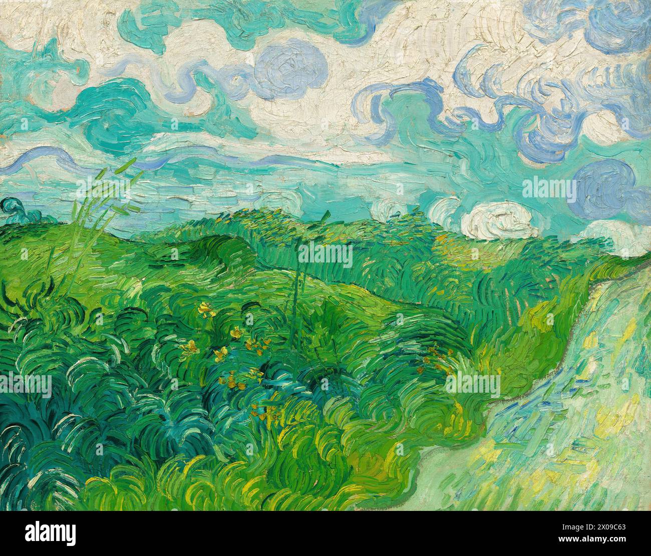 Campi di grano verde, Auvers di Vincent van Gogh, 1890 Foto Stock