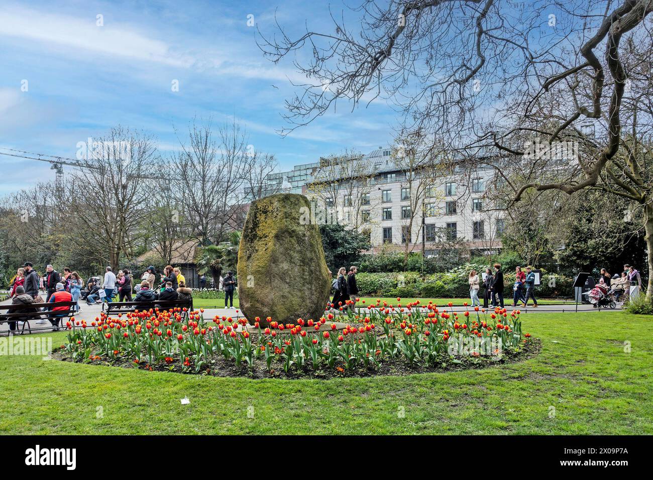 Folle che si godono il sole primaverile e lo spettacolo di tulipani a St Stephens Green, Dublino, Irlanda. Foto Stock