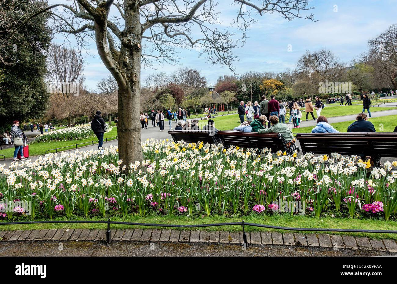 Folle che si godono il sole primaverile e lo spettacolo di narcisi a St Stephens Green, Dublino, Irlanda. Foto Stock