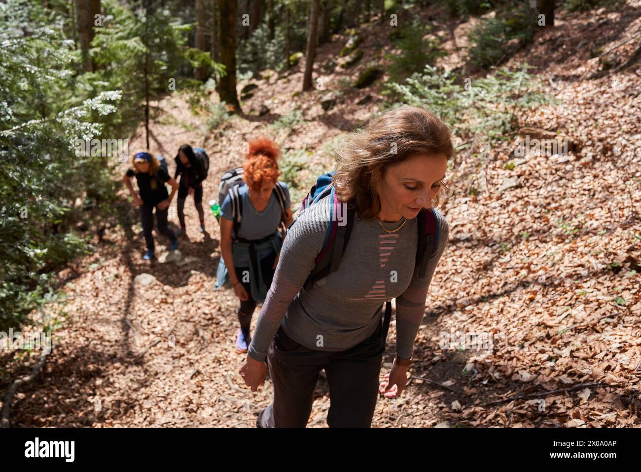 Donne escursioniste con zaino come amici che camminano in montagna attraverso la foresta Foto Stock