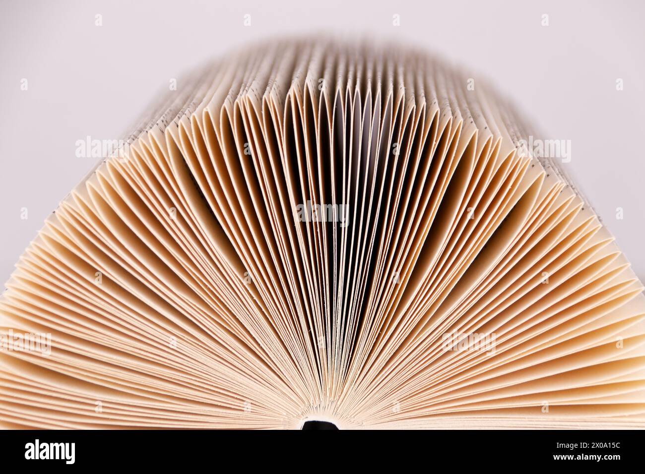 un libro con pagine piegate si presenta come un archivio analogico di conoscenze, immagine ravvicinata con ombre reali Foto Stock