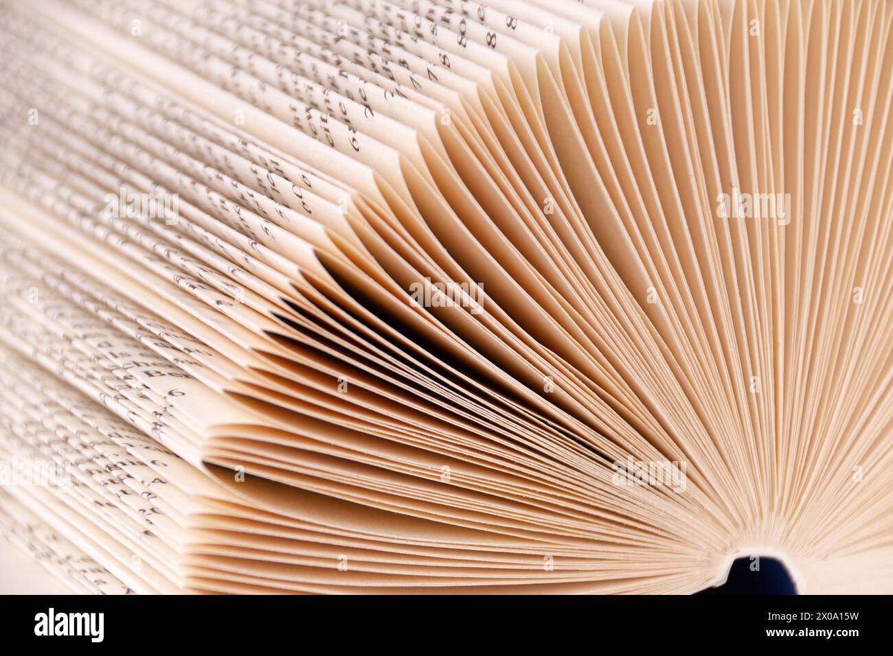 un libro con pagine piegate si presenta come un archivio analogico di conoscenze, immagine ravvicinata con ombre reali Foto Stock