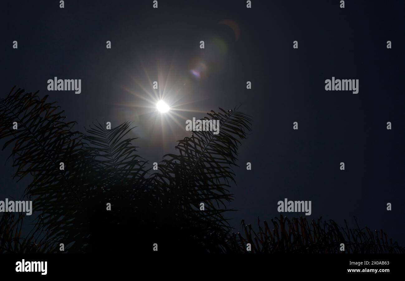 Eclissi solare dell'8 aprile 2024 vista da città del Messico, Messico Foto Stock