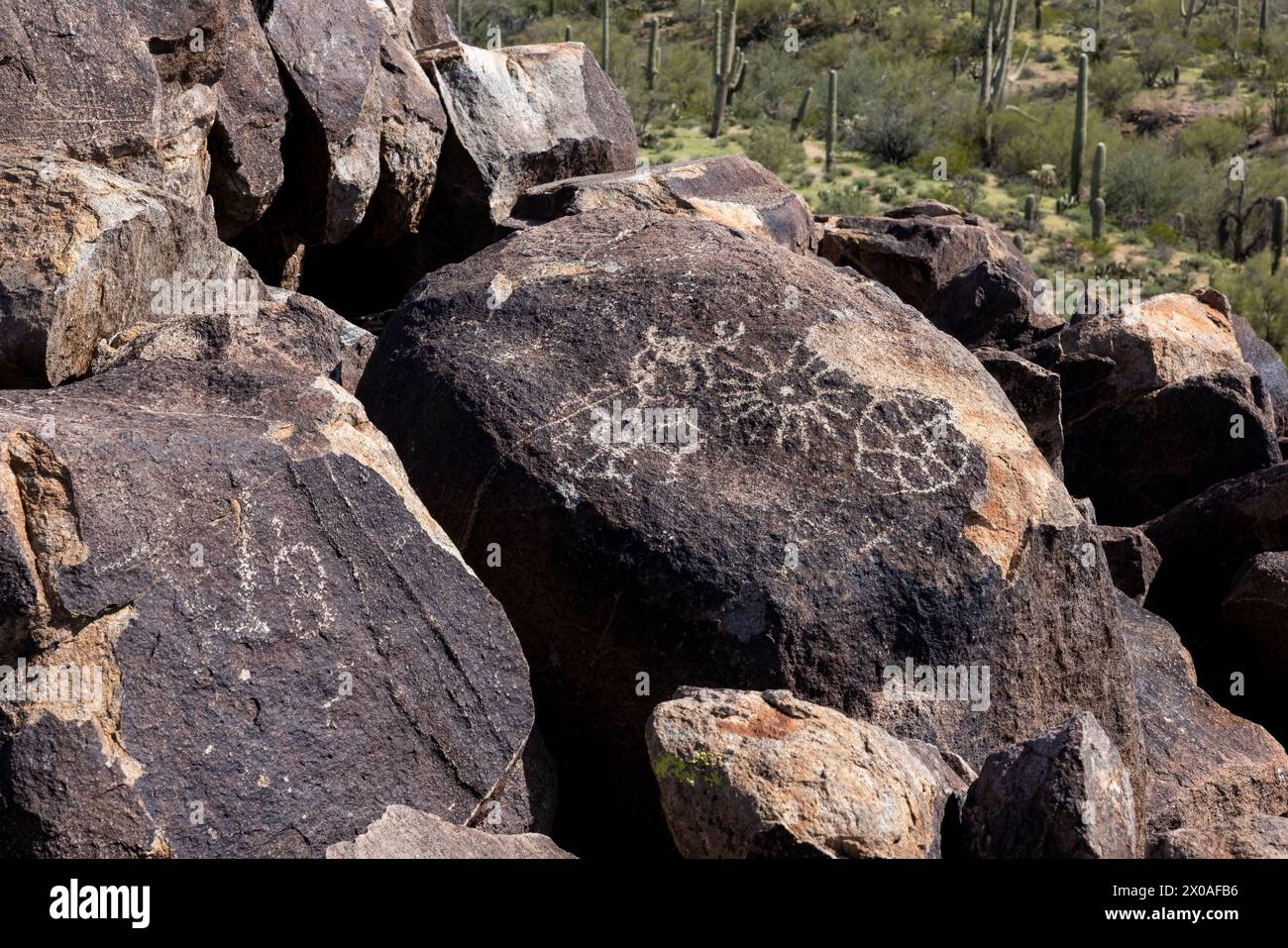 Incisioni rupestri incise nella roccia dai nativi americani Hohokam, Signal Hill, Tucson Mountain District, Saguaro National Park, Arizona Foto Stock