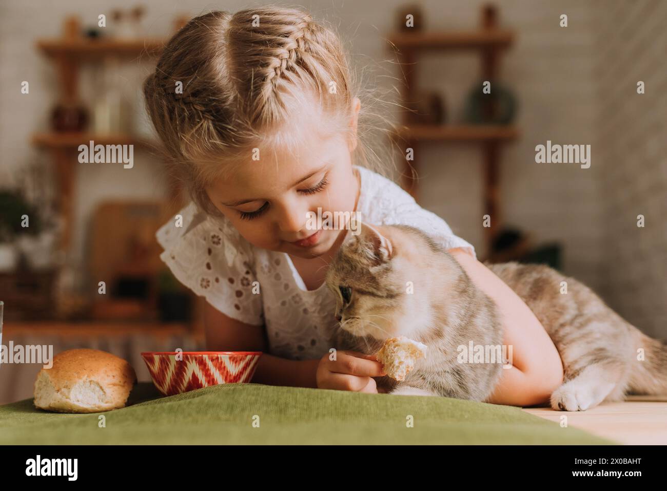 Una bambina carina in cucina dà da mangiare a un gatto al tavolo. Foto di alta qualità Foto Stock