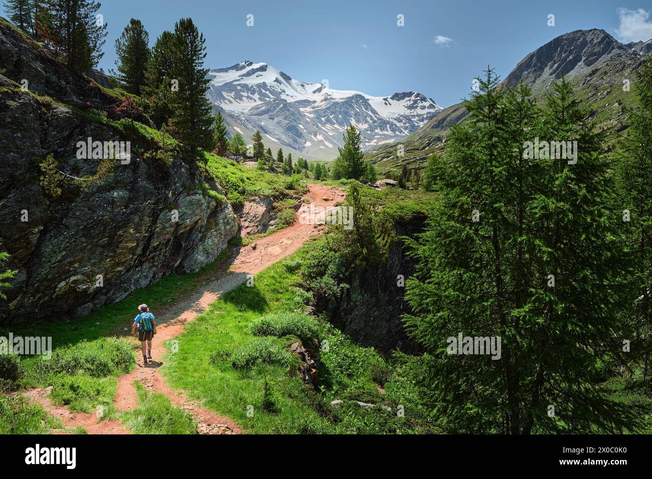 Panorama alpino durante l'estate in alto Adige Foto Stock