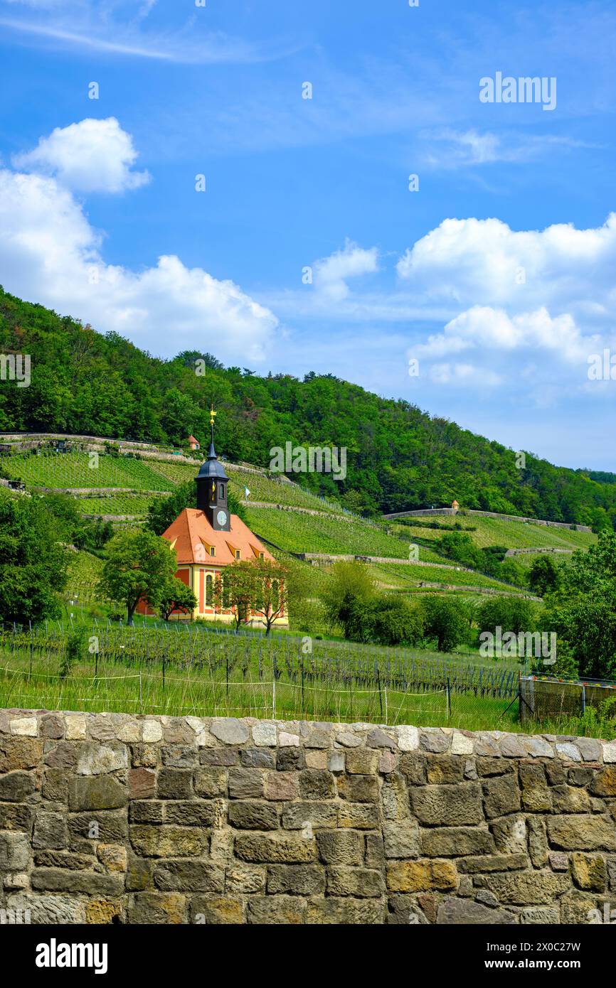 La Pillnitz Vineyard Church è una chiesa barocca situata nel vigneto reale di Pillnitz, Dresda, Sassonia, Germania. Foto Stock
