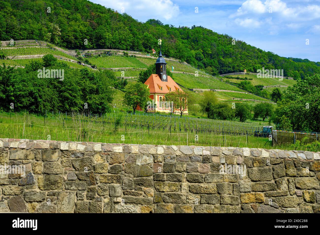 La Pillnitz Vineyard Church è una chiesa barocca situata nel vigneto reale di Pillnitz, Dresda, Sassonia, Germania. Foto Stock