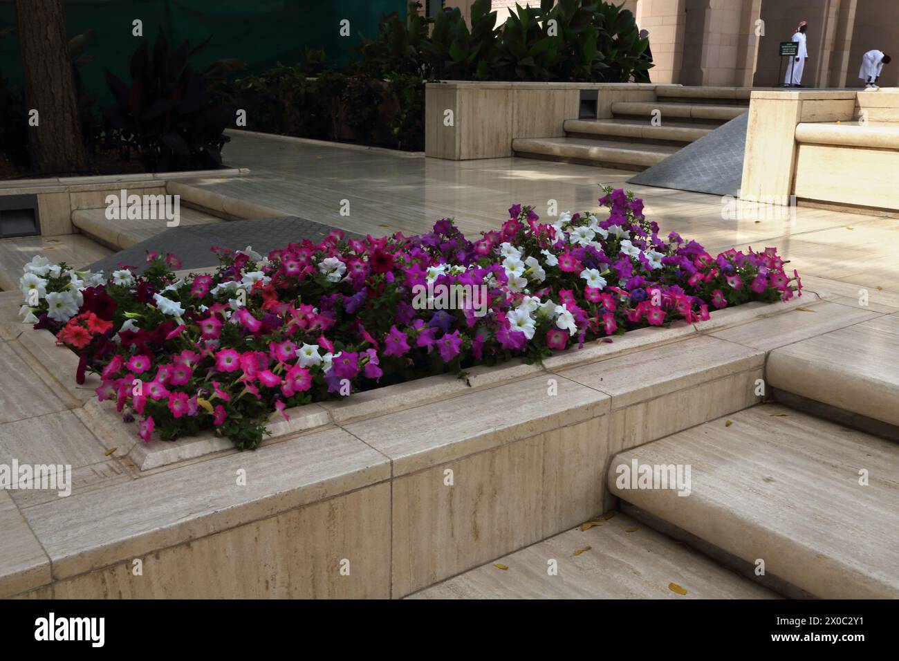 Grande Moschea del Sultano Qaboos, esterni, fiori colorati in fiore, Muscat Oman Foto Stock