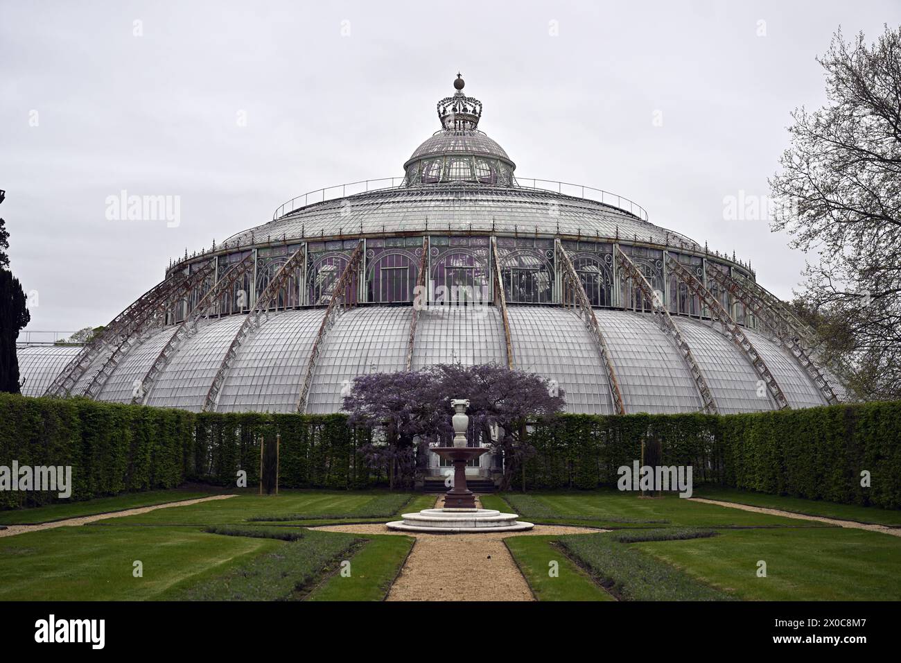 Bruxelles, Belgio. 11 aprile 2024. Le serre del castello reale di Laken/Laeken, Bruxelles, danno il benvenuto alla stampa per una visita giovedì 11 aprile 2024, prima dell'apertura al pubblico. Le serre possono essere visitate dal 26 aprile al 20 maggio. BELGA PHOTO ERIC LALMAND credito: Belga News Agency/Alamy Live News Foto Stock