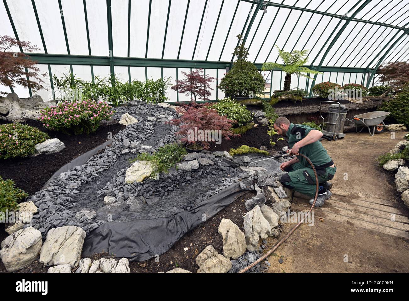 Bruxelles, Belgio. 11 aprile 2024. Le serre del castello reale di Laken/Laeken, Bruxelles, danno il benvenuto alla stampa per una visita giovedì 11 aprile 2024, prima dell'apertura al pubblico. Le serre possono essere visitate dal 26 aprile al 20 maggio. BELGA PHOTO ERIC LALMAND credito: Belga News Agency/Alamy Live News Foto Stock