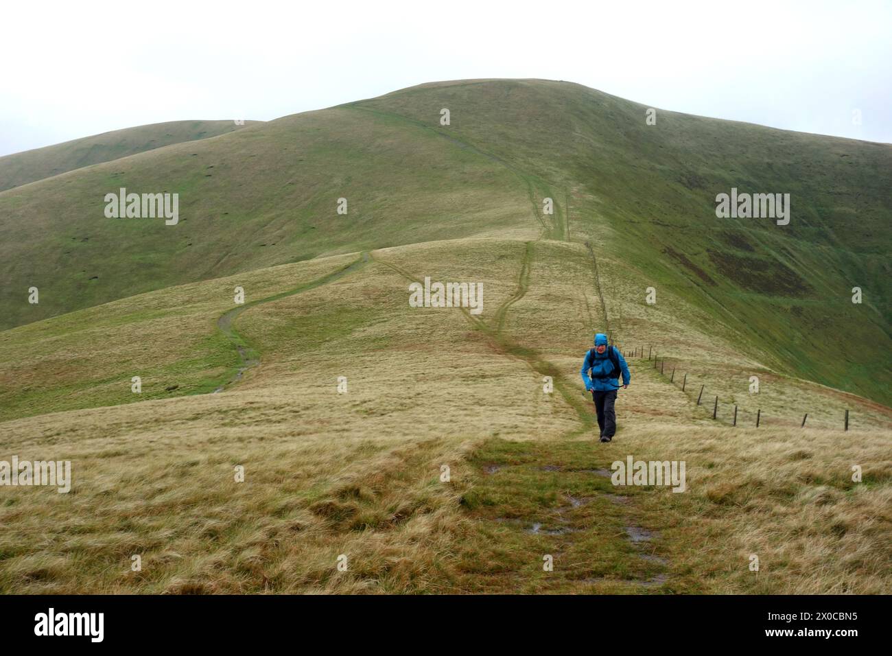 Uomo (escursionista) camminando sui Rowantree Grains (a col) da "Calders" a "Arant Haw" sulle Howgill Hills nello Yorkshire Dales National Park, Inghilterra, Regno Unito. Foto Stock