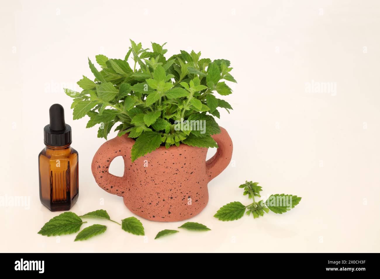 Balsamo al limone con bottiglia di olio essenziale utilizzato in aromaterapia e medicina naturale a base di erbe per alleviare l'ansia, lo stress e migliorare la salute intestinale. Sulla crema Foto Stock
