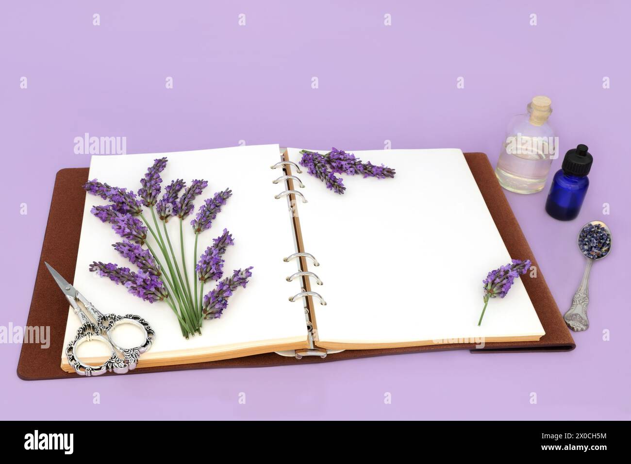 Erbe di fiori di lavanda utilizzate nella medicina alternativa naturale a base di erbe e aromaterapia con bottiglie di olio essenziale. Cibo di adattogeno sano. Foto Stock