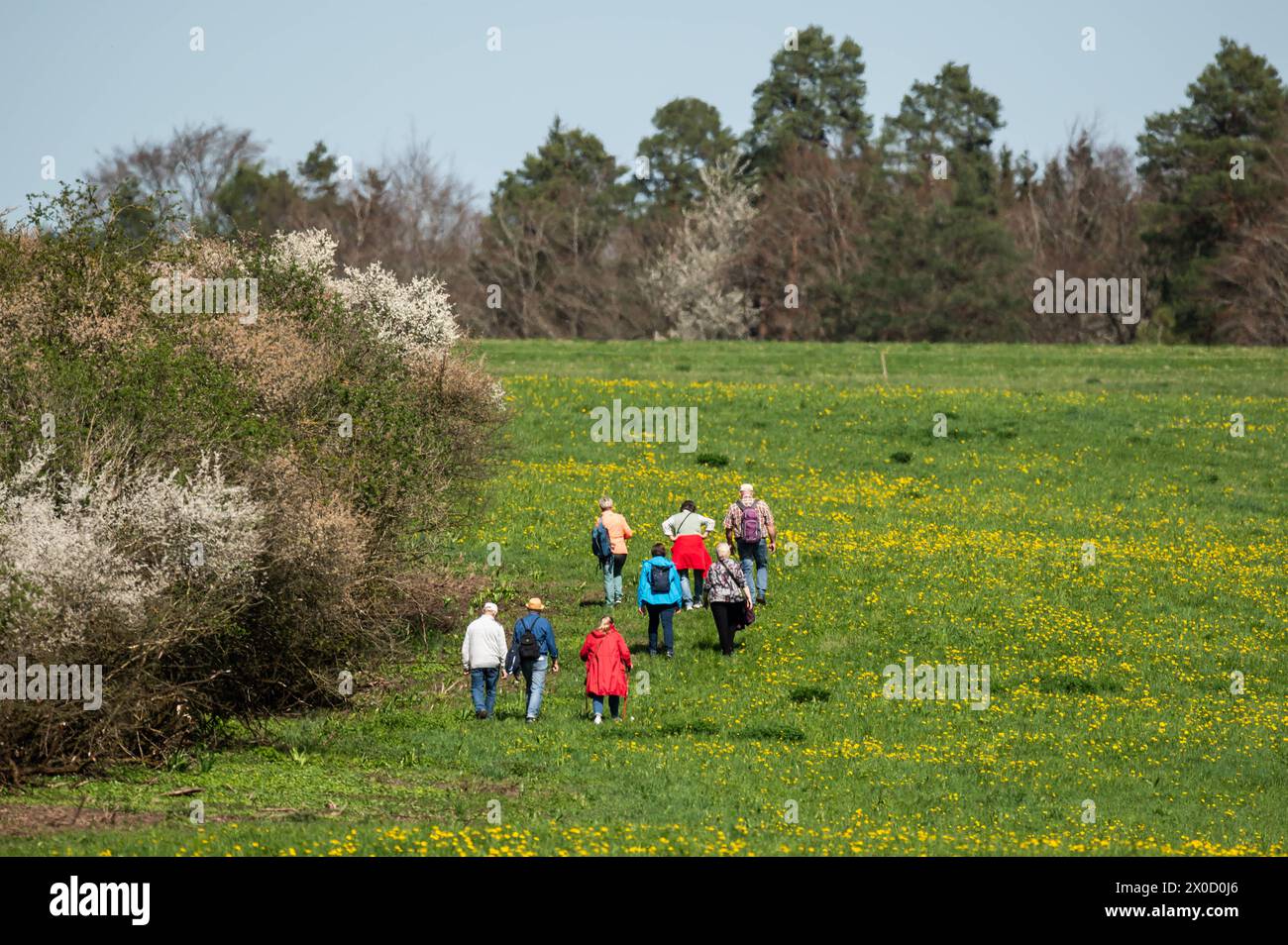 Eine Gruppe Wanderer geht über eine Wiese bei Rottweil. Rottweil Baden-Württemberg Deutschland *** Un gruppo di escursionisti cammina attraverso un prato vicino a Rottweil Rottweil Baden Württemberg Germania Foto Stock