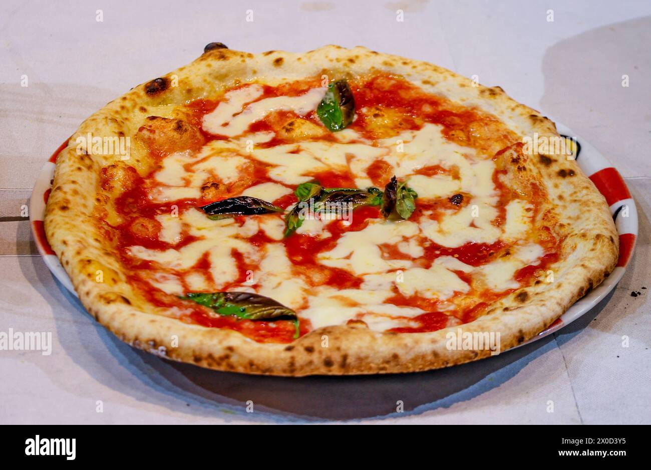 STG World Classic Neapolitan Pizza Championships a Parma 2024 10/04/2024 Parma, il 31° Campionato del mondo STG Pizza Napoletana si è svolto presso la fiera cittadina più di mille concorrenti provenienti da tutto il mondo hanno gareggiato per vincere il premio di miglior pizzaiolo del mondo nella foto: la pizza Margherita STG Parma Fiera di Parma Parma italia Copyright: xFABIOxSASSOxFABIOxSASSOx 2L8A2025A Foto Stock