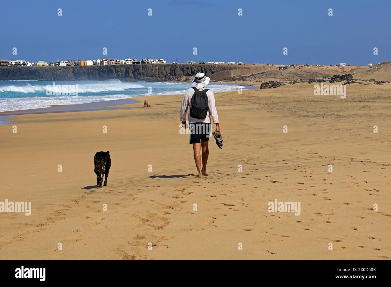 Un uomo solitario e il suo cane camminano lungo una spiaggia sabbiosa lasciando impronte, El Cotillo, Fuerteventura. Preso nel febbraio 2024 Foto Stock