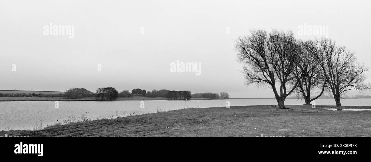 Ammasso di alberi sulla riva di un lago in una giornata grigia, nebbiosa e triste d'inverno. Foto Stock