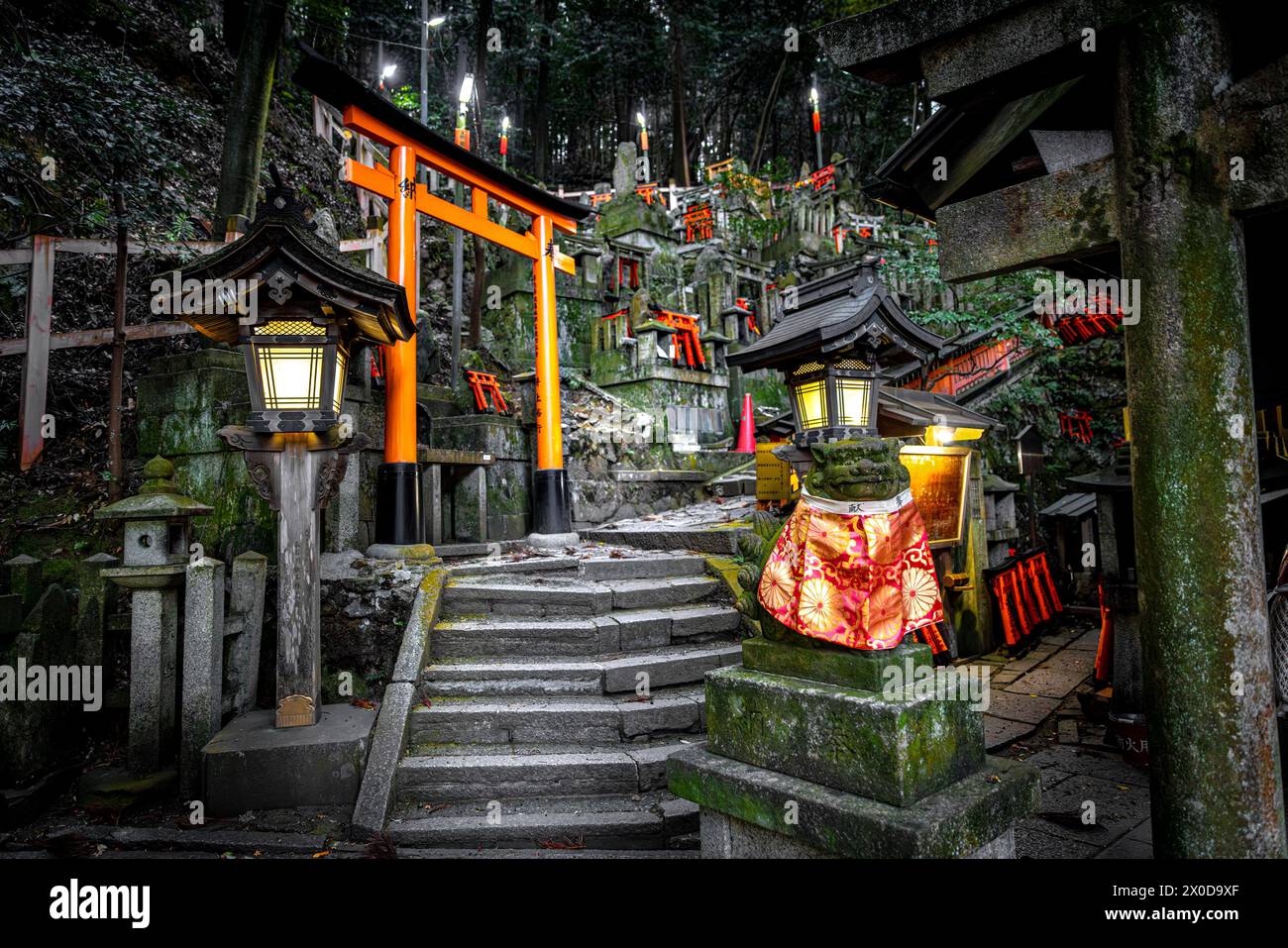 Lanterne illuminate illuminano i sentieri serpeggianti e le porte torii al santuario di fushimi inari, kyoto Foto Stock