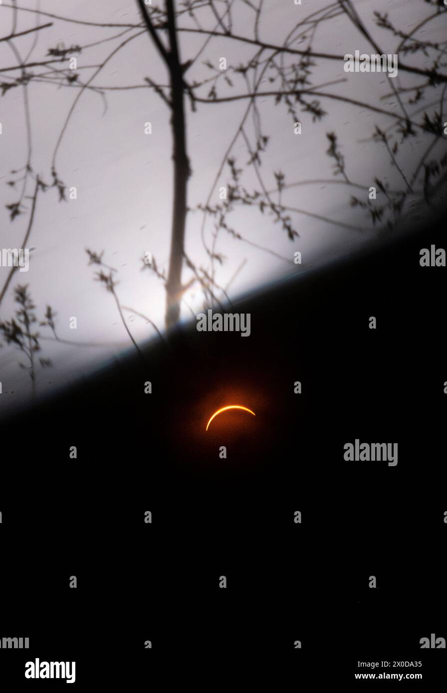 Aprile 2024 eclissi solare osservata in una foresta in Indiana, Stati Uniti Foto Stock