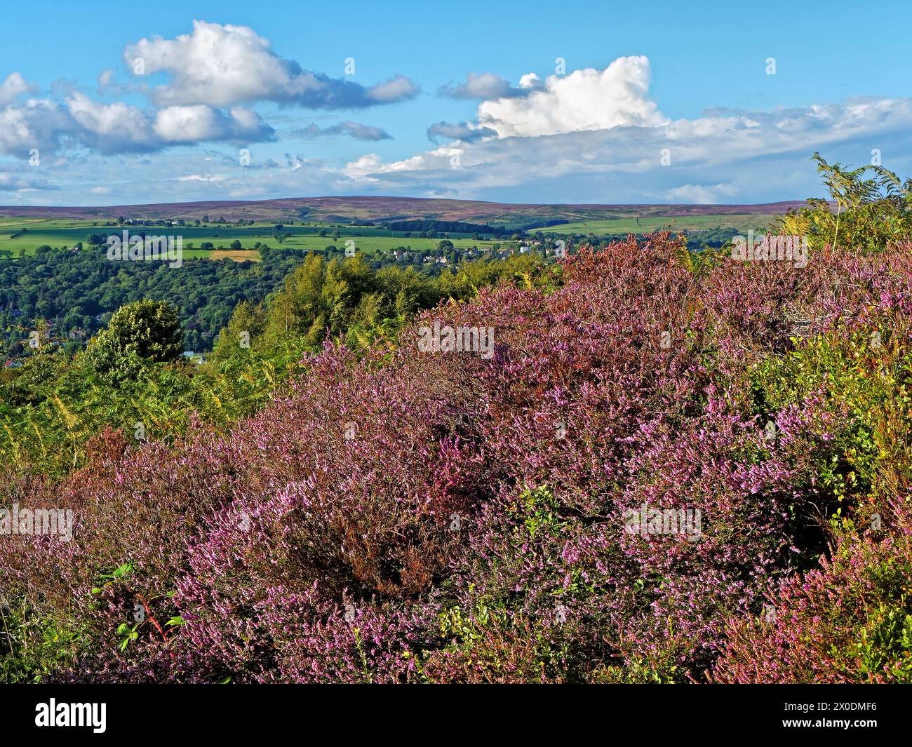 Regno Unito, West Yorkshire, Ilkley, Ilkley Moor guardando verso nord. Foto Stock