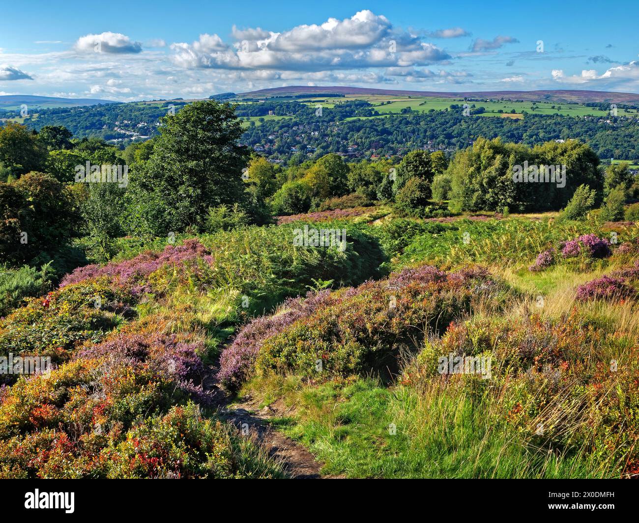 Regno Unito, West Yorkshire, Ilkley, Ilkley Moor guardando verso nord. Foto Stock