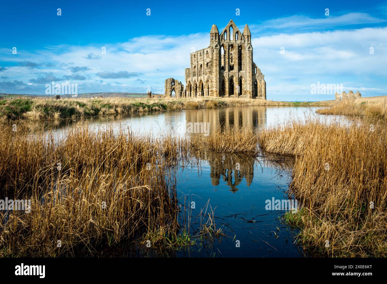 Whitby Abbey, North Yorkshire, Regno Unito. Foto Stock
