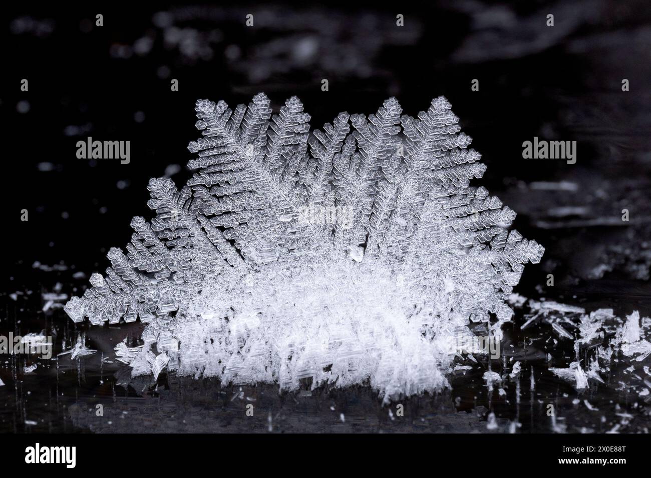 Macina di cristalli hoarfrost sul ghiaccio lungo il fiume Eagle nell'Alaska centro-meridionale. Foto Stock