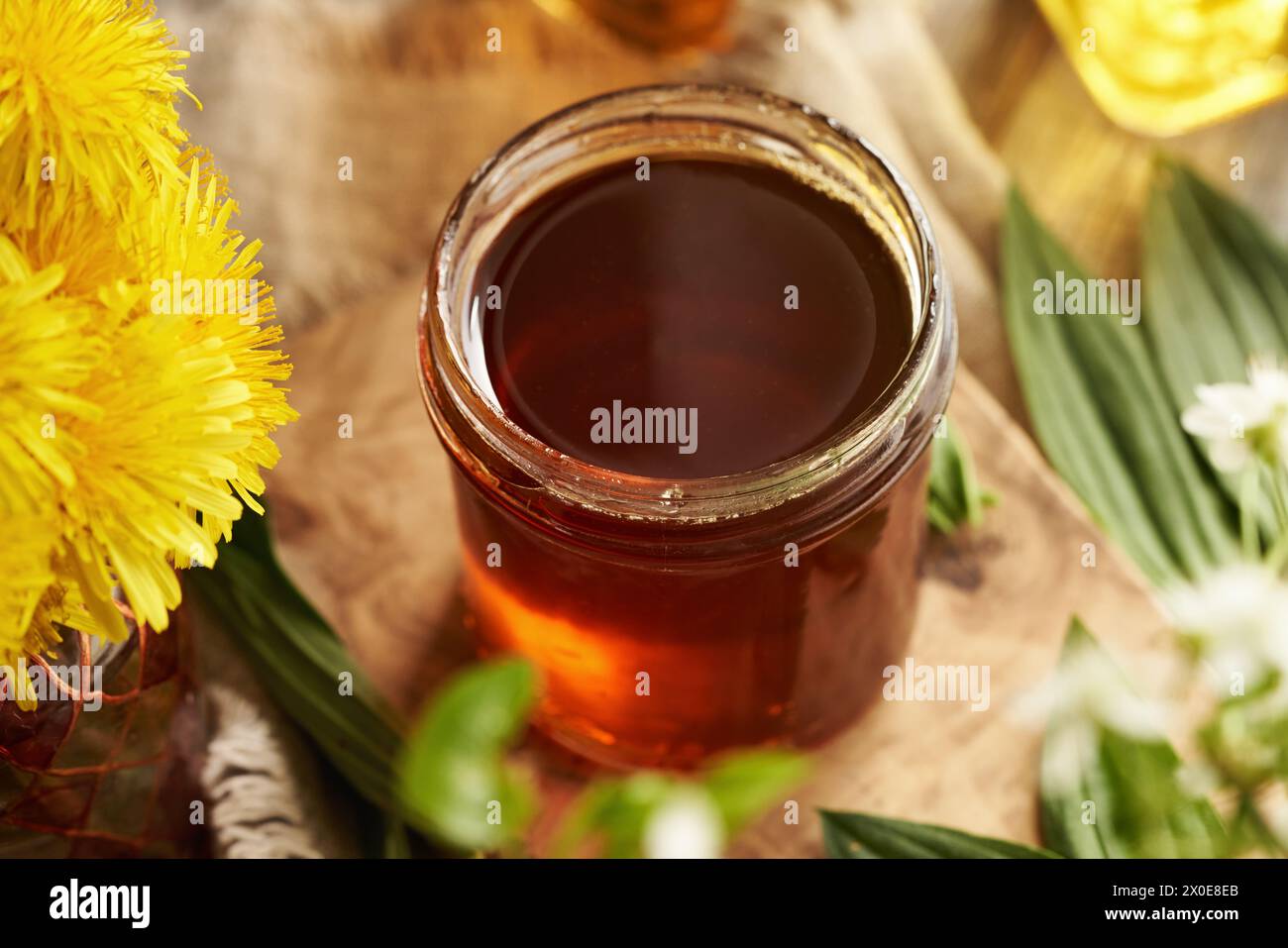 Un vasetto di sciroppo alle erbe fatto in casa per tosse con foglie di piante di Ribwort fresche e fiori di dente di leone Foto Stock