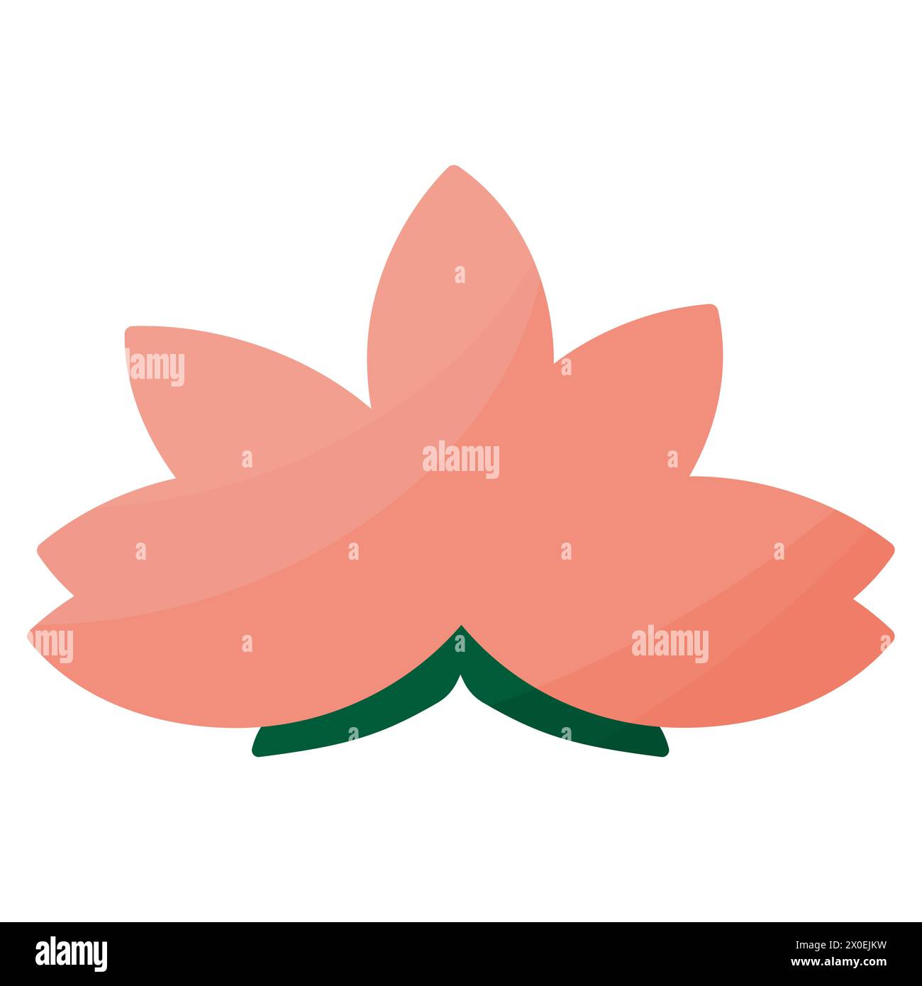 Quarzo Rosa | Tutte le Informazioni - Fiori di Lillà